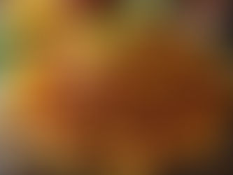 Gourmet Loaded Nachos