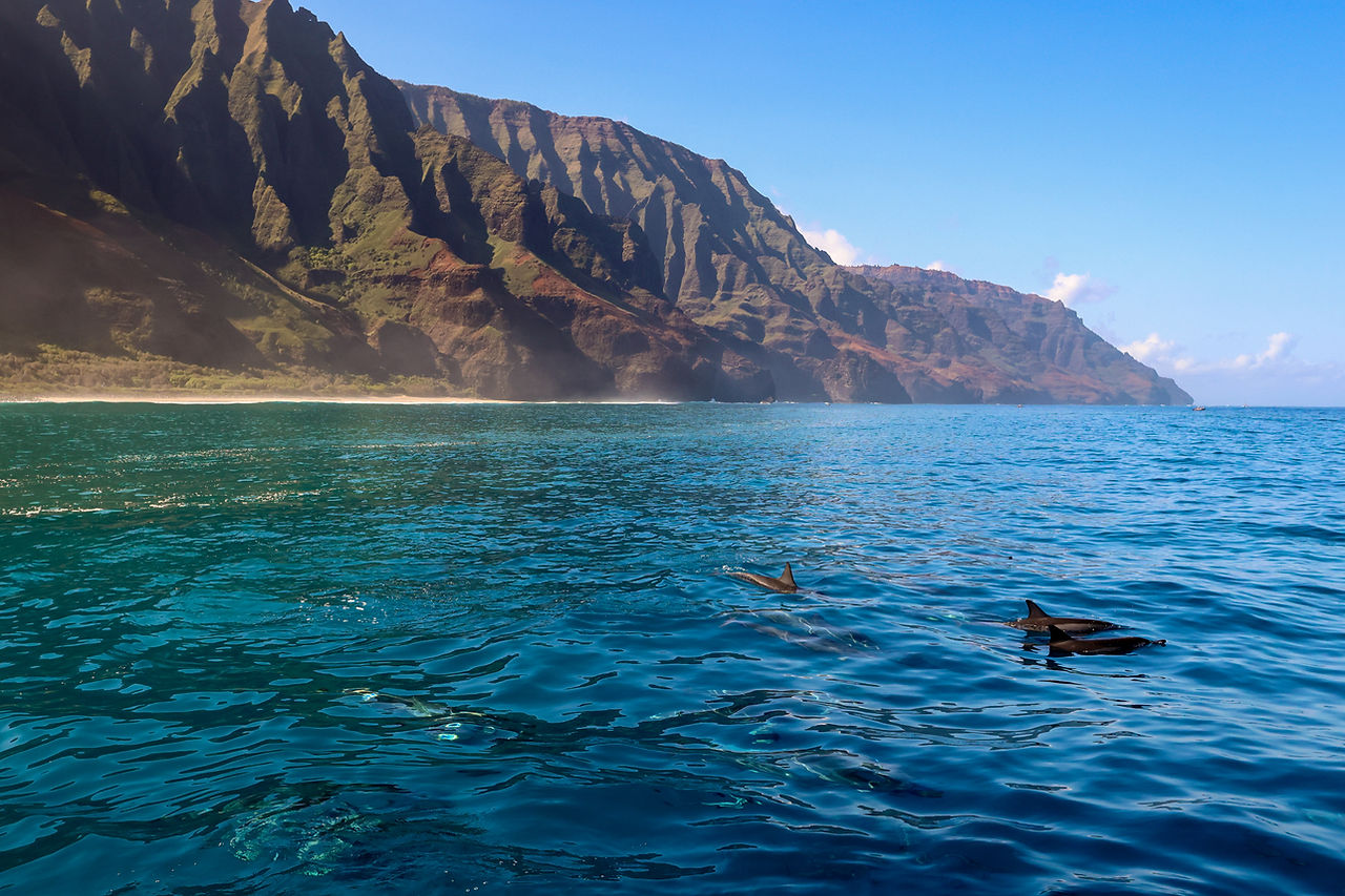 kauai photographer keith ketchum captures whales breaching, waves breaking, dolphin swimming and turtles on the na pali coast of kauai on holo holo charters,