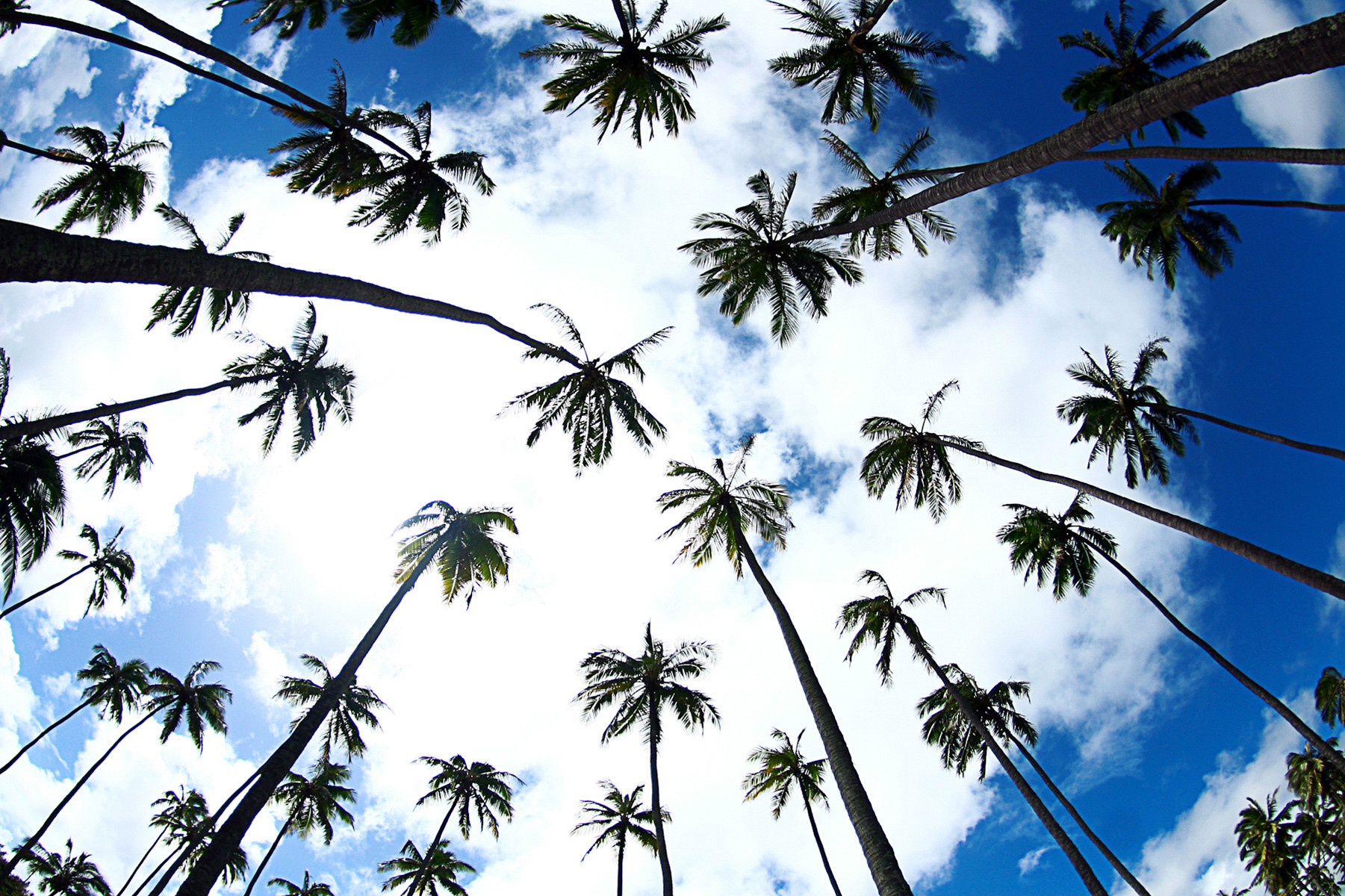 KEITH KETCHUM PHOTOGRAPHY - Photography in Koloa