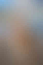 kauai wedding photographer, kauai wedding photography, kauai photographer,