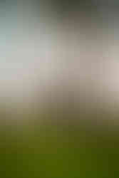 A Shipwreck Beach Elopement with Kauai wedding photographer Keith Ketchum