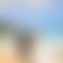 A Waterfall Wedding at National Tropical Botanical Garden with Tim & Jenna