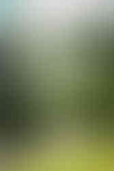 A Smith's Tropical Paradise Wedding with Carson & Casey, kauai wedding photography, kauai wedding photographer, kauai wedding, smith's tropical paradise wedding, 