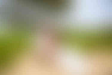 kauai wedding photography, kauai wedding photographer, kauai photo session, kauai elopement, kauai elopement photographer, kauai elopement photography,