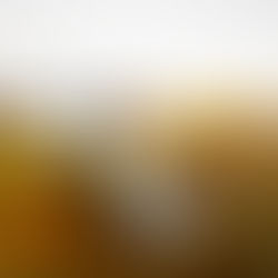 A Quick Kauai Elopement at the Sheraton in Poipu with Gladimyr & Shavon