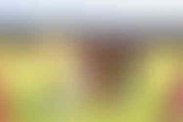 kauai wedding photography, kauai wedding photographer, Koloa Landing wedding, Poipu wedding photographer,