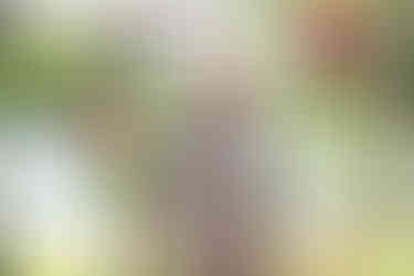 A Smith's Tropical Paradise Wedding with Carson & Casey, kauai wedding photography, kauai wedding photographer, kauai wedding, smith's tropical paradise wedding, 