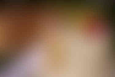 kauai wedding photography, kauai wedding photographer, Koloa Landing wedding, Poipu wedding photographer,