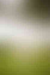 kauai wedding photography, kauai wedding photographer, kauai photo session, kauai elopement, kauai elopement photographer, kauai elopement photography,