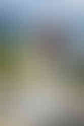 kauai wedding photographer, kauai wedding photography, kauai elopement, kauai photographer, kauai photography, kauai wedding,