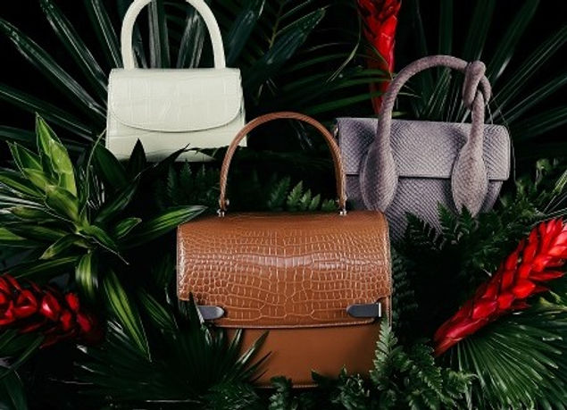 Vegan Leather