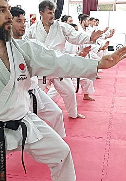 Valor mensual de las actividades