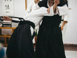 Técnicas de Jiujitsu Tradicional Japonés