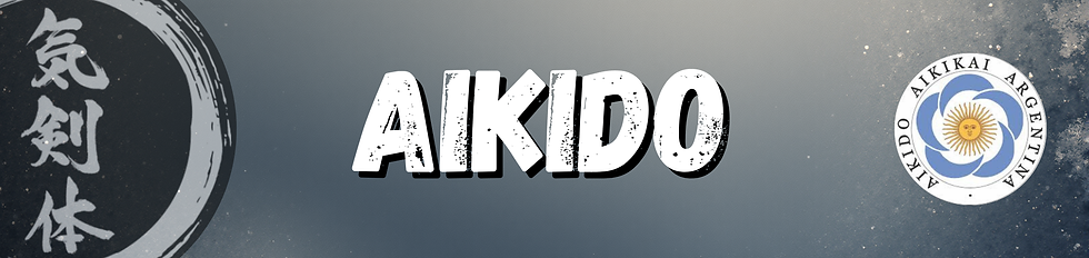 AIKIDO ADULTOS