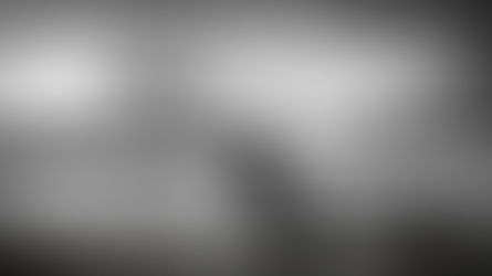 The Calm of Two Medicine Lake