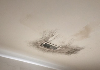 Ceiling Mold.jpg