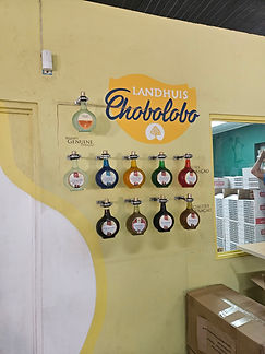 Curacao__63c665aa85e348f99cac3f0d2795c574_1378.jpeg
