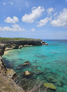Curacao__63c665aa85e348f99cac3f0d2795c574_1019.jpeg
