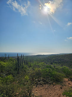 Curacao__63c665aa85e348f99cac3f0d2795c574_1226.jpeg
