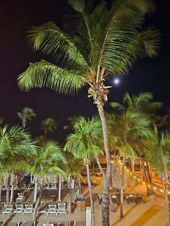 Curacao__63c665aa85e348f99cac3f0d2795c574_480.jpeg