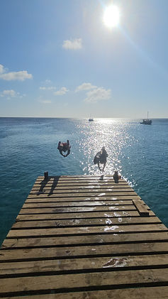 Curacao__63c665aa85e348f99cac3f0d2795c574_2270.jpeg