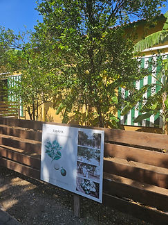 Curacao__63c665aa85e348f99cac3f0d2795c574_1363.jpeg