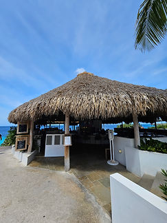 Curacao__63c665aa85e348f99cac3f0d2795c574_2388.jpeg
