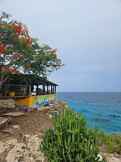 Curacao__63c665aa85e348f99cac3f0d2795c574_222.jpeg
