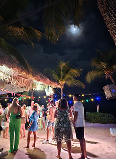 Curacao__63c665aa85e348f99cac3f0d2795c574_795.jpeg