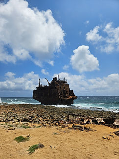 Curacao__63c665aa85e348f99cac3f0d2795c574_1623.jpeg