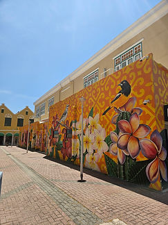 Curacao__63c665aa85e348f99cac3f0d2795c574_1330.jpeg