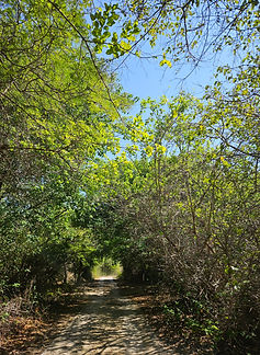 Curacao__63c665aa85e348f99cac3f0d2795c574_1318.jpeg