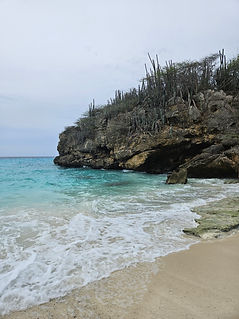 Curacao__63c665aa85e348f99cac3f0d2795c574_384.jpeg