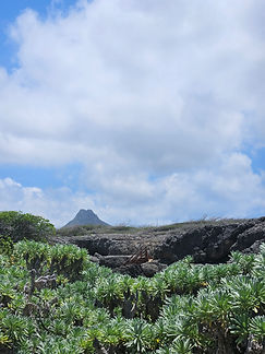 Curacao__63c665aa85e348f99cac3f0d2795c574_871.jpeg