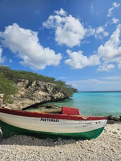 Curacao__63c665aa85e348f99cac3f0d2795c574_2329.jpeg