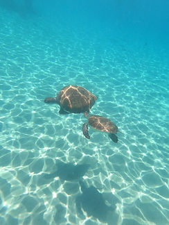 Curacao__63c665aa85e348f99cac3f0d2795c57
