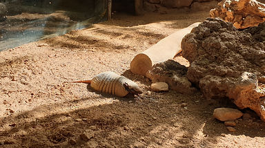 Oasis Parc 7.jpg