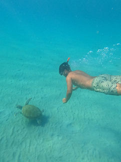 Curacao__63c665aa85e348f99cac3f0d2795c57