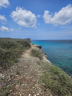Curacao__63c665aa85e348f99cac3f0d2795c574_1008.jpeg