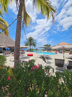 Curacao__63c665aa85e348f99cac3f0d2795c574_2399.jpeg