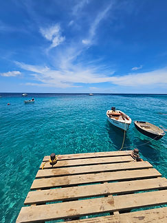 Curacao__63c665aa85e348f99cac3f0d2795c574_2060.jpeg