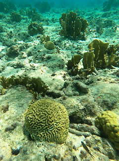 Curacao__63c665aa85e348f99cac3f0d2795c57