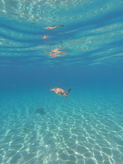 Curacao__63c665aa85e348f99cac3f0d2795c574_2078.jpeg
