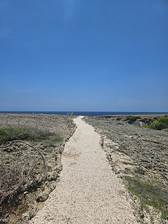 Curacao__63c665aa85e348f99cac3f0d2795c574_798.jpeg