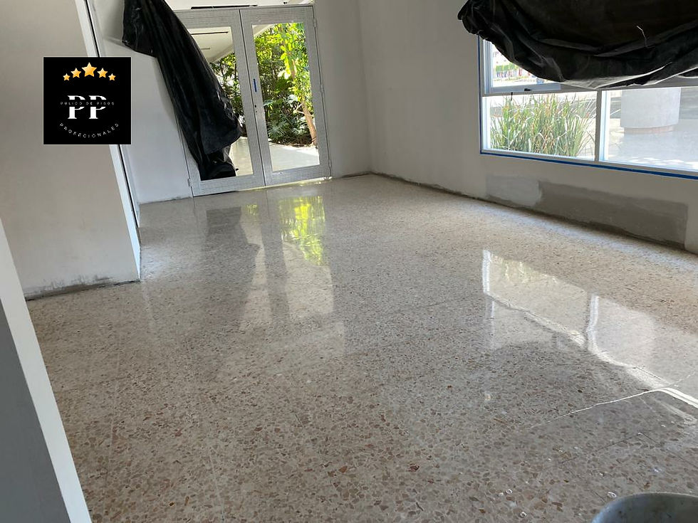 Pulido de pisos profecionales (3P)