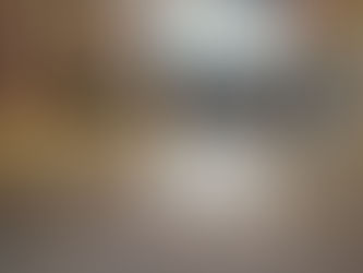 pulido de pisos profecionales presupuestos sin costo 5527464025 5521129634 cdmx y edomex