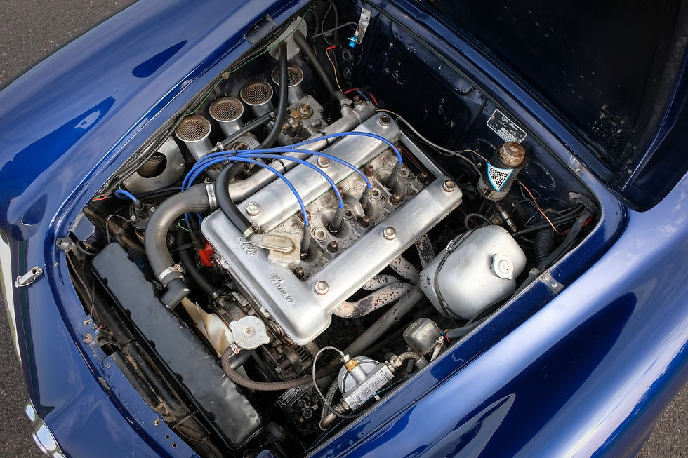 DSCF6555.jpg