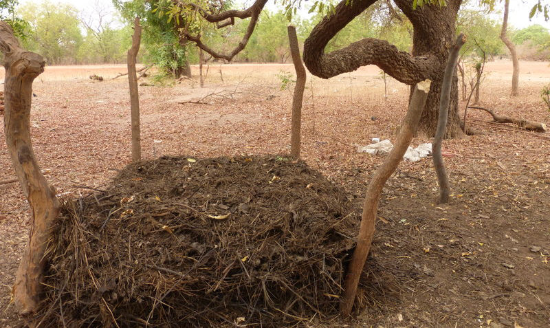 compost.JPG