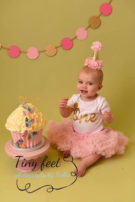 Giant Cupcake Smash Cake