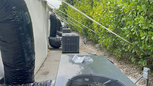 WhatsApp Image 2025-03-23 at 4.16.28 PM.jpeg